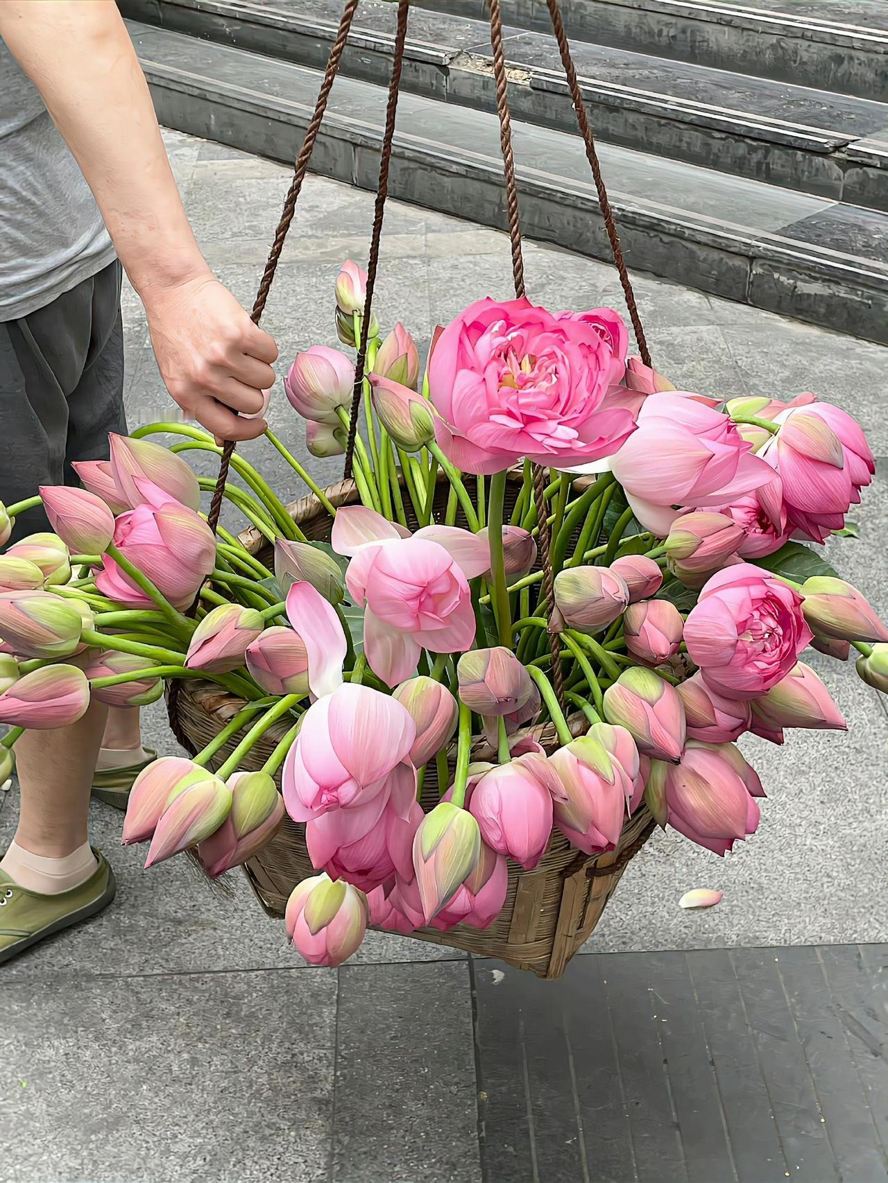 南方大街上有挑着篮子卖荷花的，而北方没有。在南方城镇大街上市场上有好多挑着篮子卖