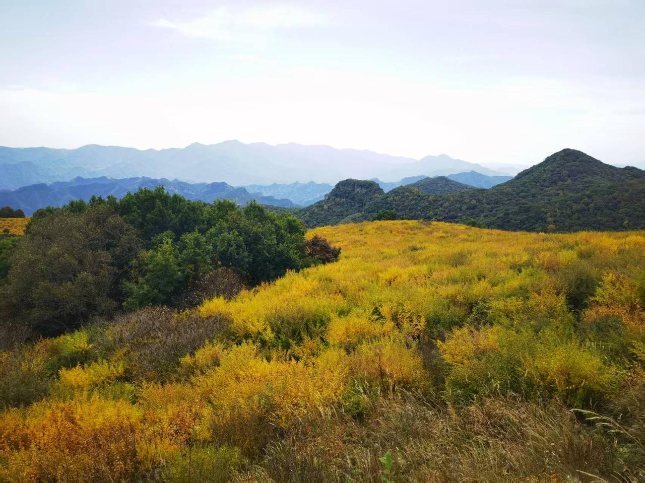 北京门头沟的黄草梁，海拔超过1800米，秋天登高望，眼前秋草黄，远处万壑空，那里