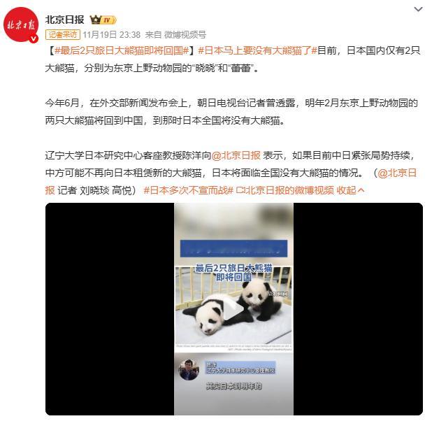 旅日大熊猫归国在即，这一动态备受瞩目。它们在日期间，承载着无数民众对美好与友好的