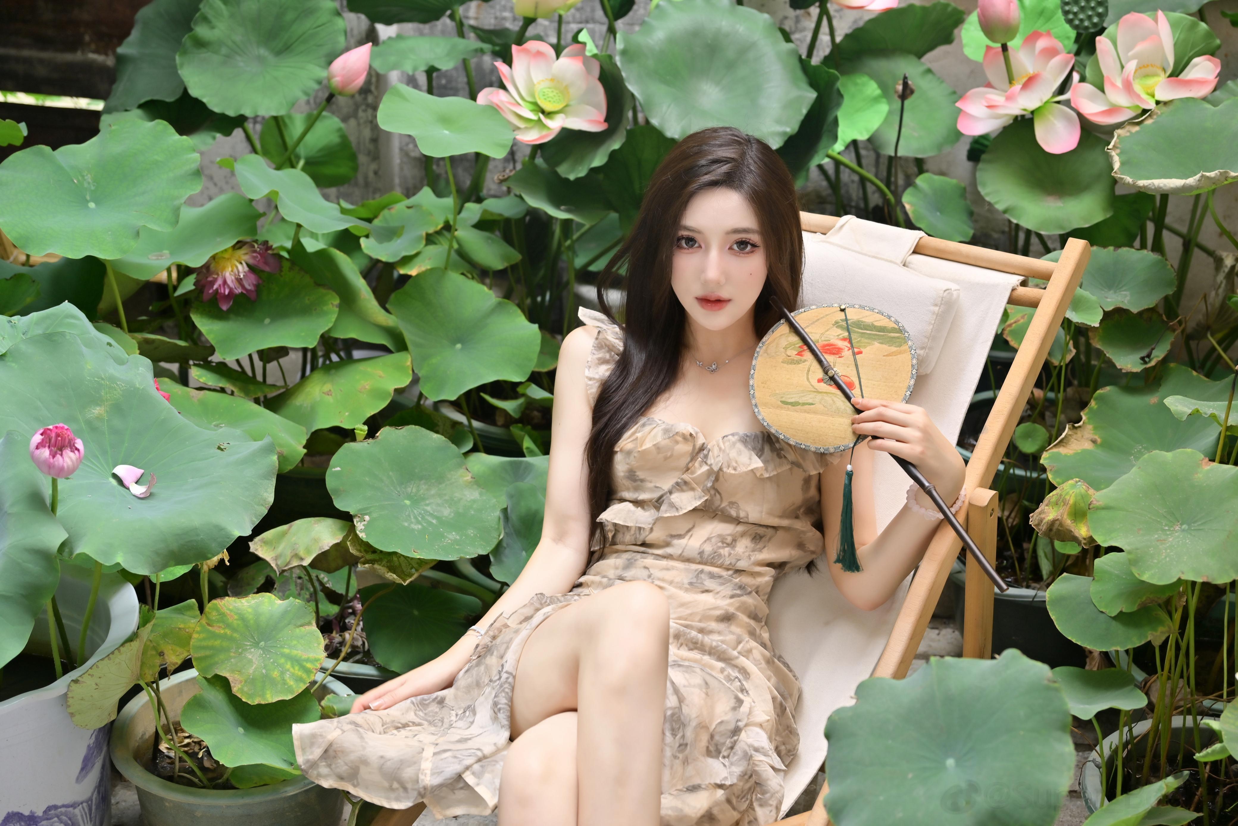 好运莲莲🪷🪷🪷 ​​​