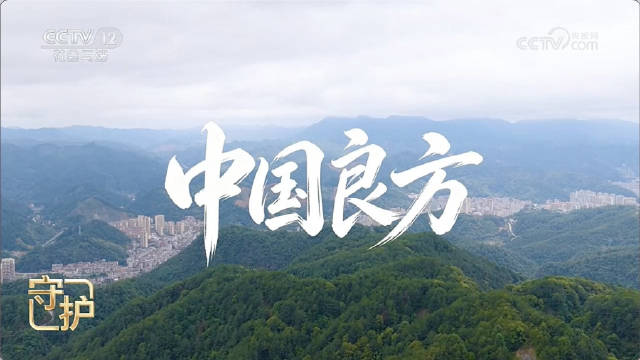 【中医药的制作技艺有多酷】他们用技能守护新时代中国良方职教学子们苦练药材切片，钻研发酵黑科技，守古法