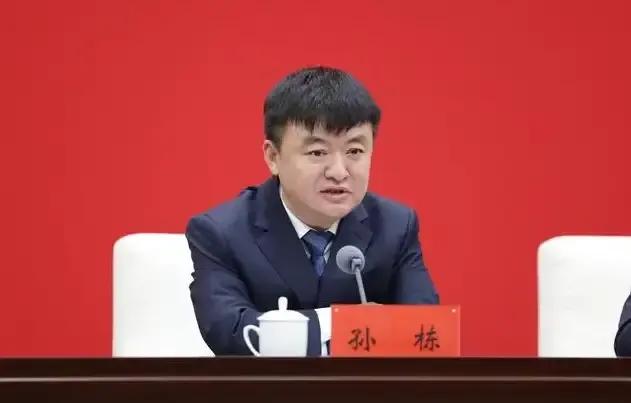 孙栋终于是太贪了，35岁就是正处，43岁就是副厅，能力上出众，职级上飞升，地位显