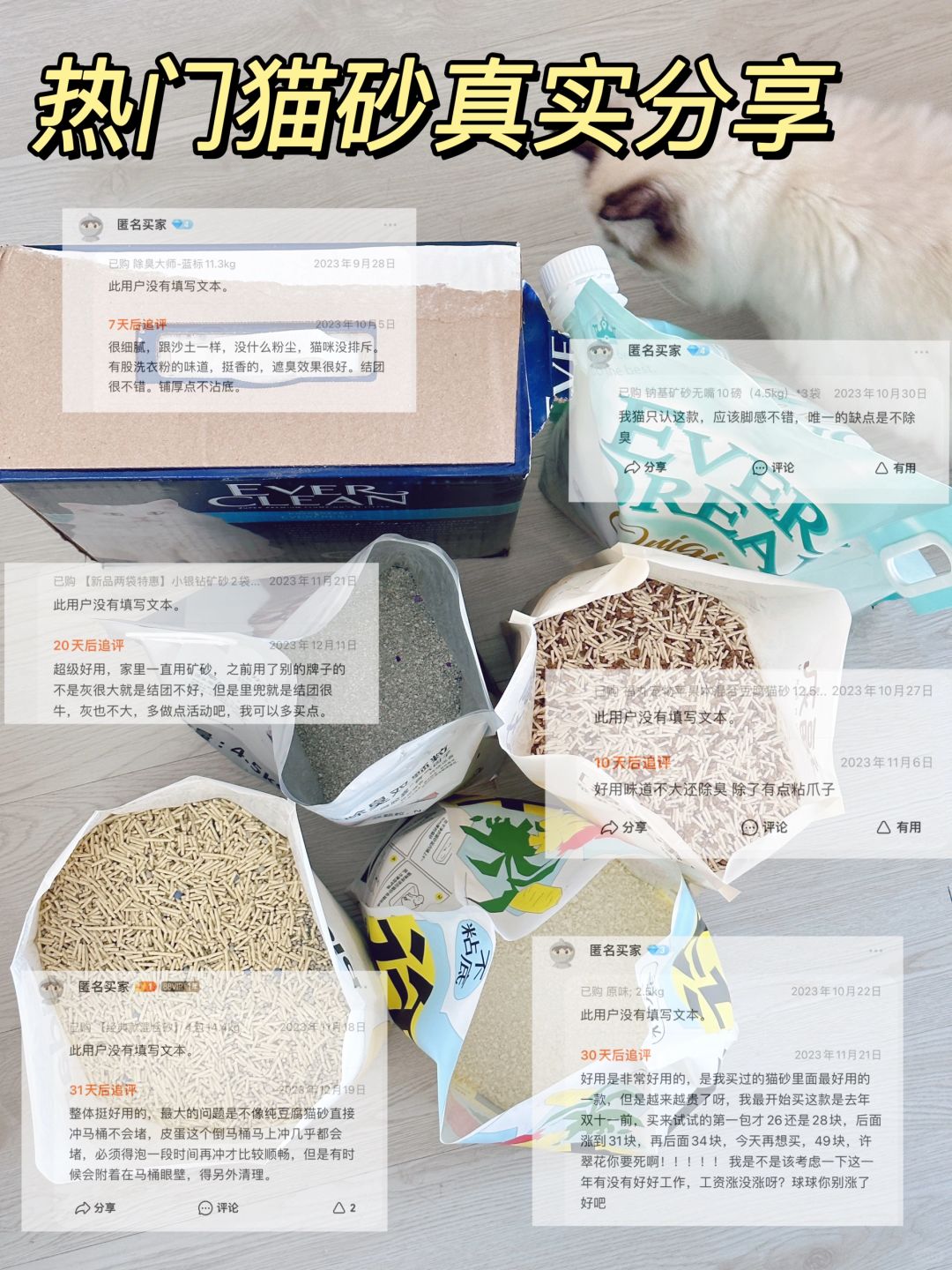 6款不踩雷的猫砂推荐|自用分享