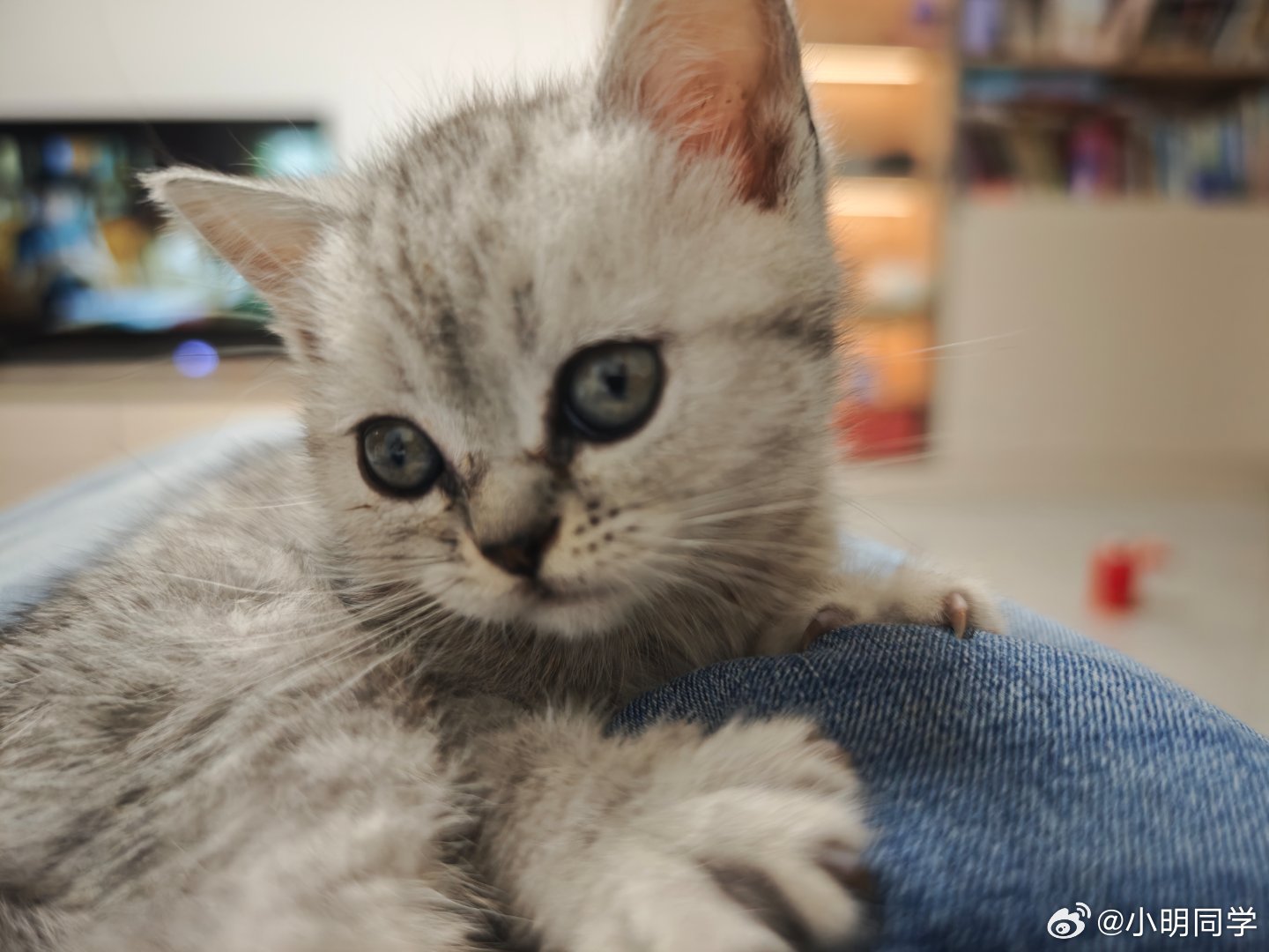 忙起来焦头烂额闲下来抓耳挠腮有没有人和我一样