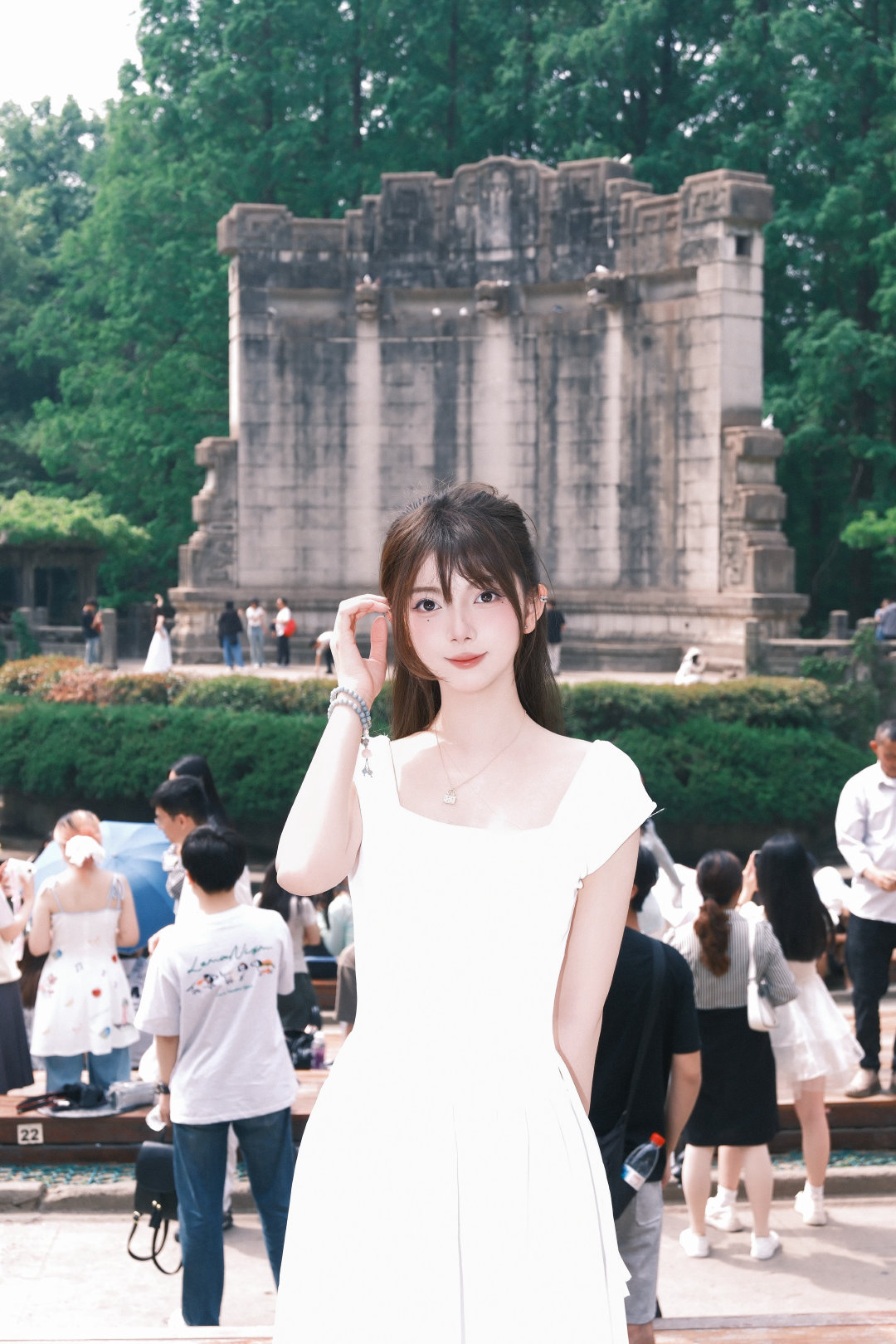 🕊️白鸽  ​​​