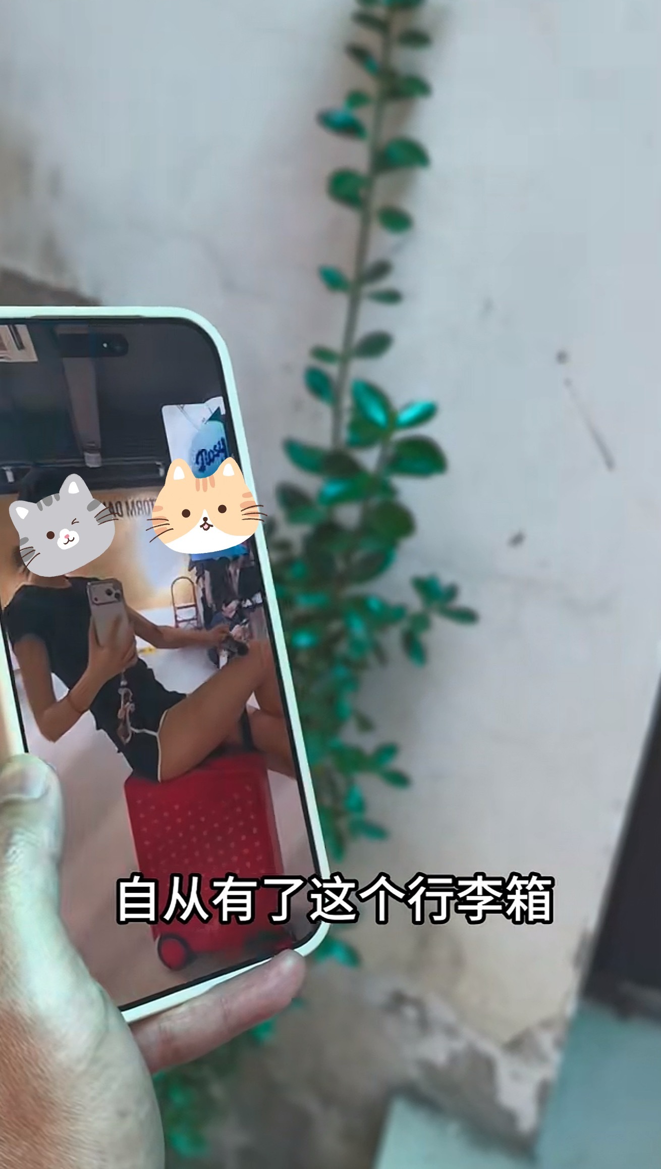 rdd有红色的行李箱吗？ 