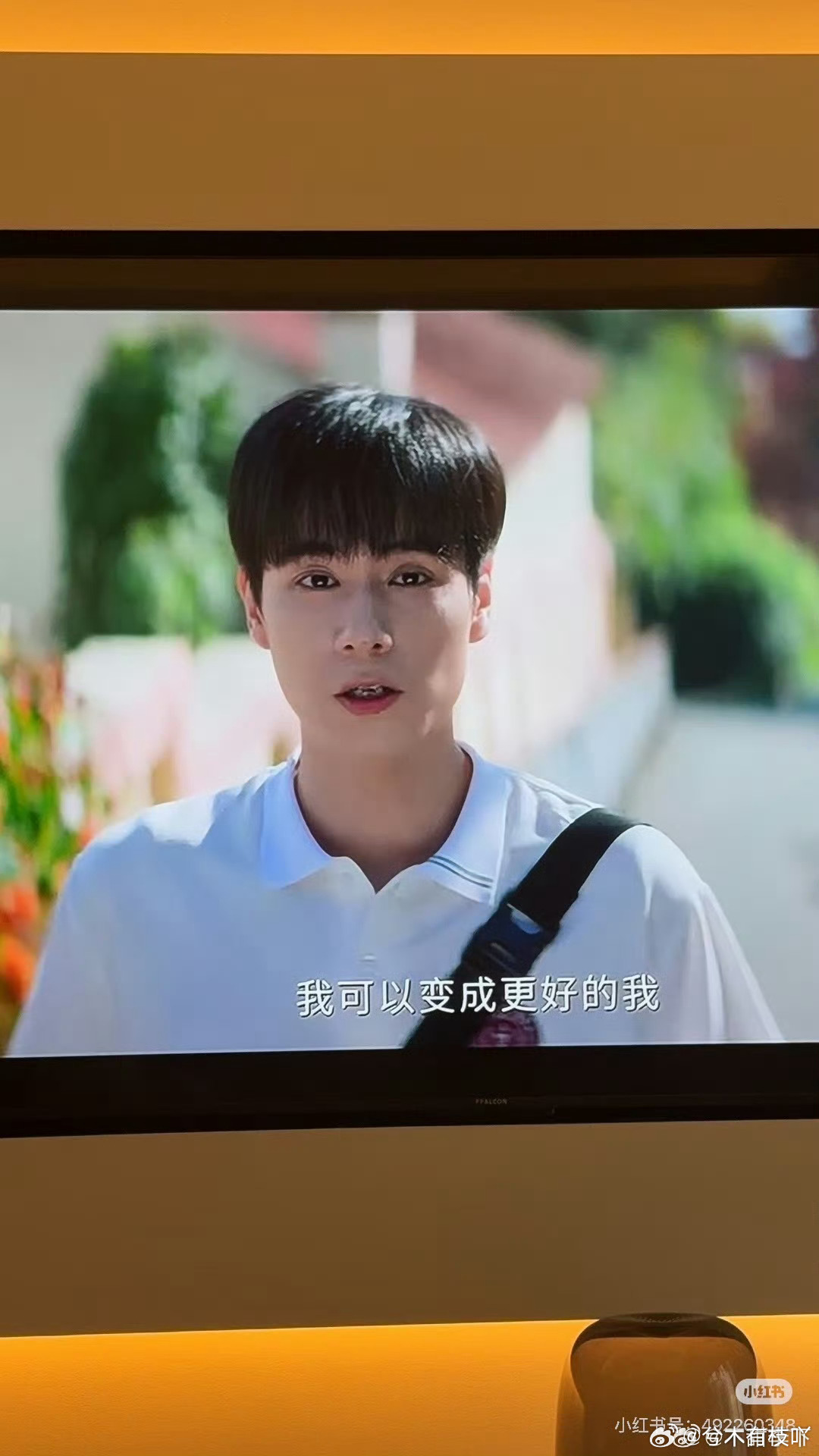 这些明星和粉丝一天天的诈骗，光把自己和正主骗了 