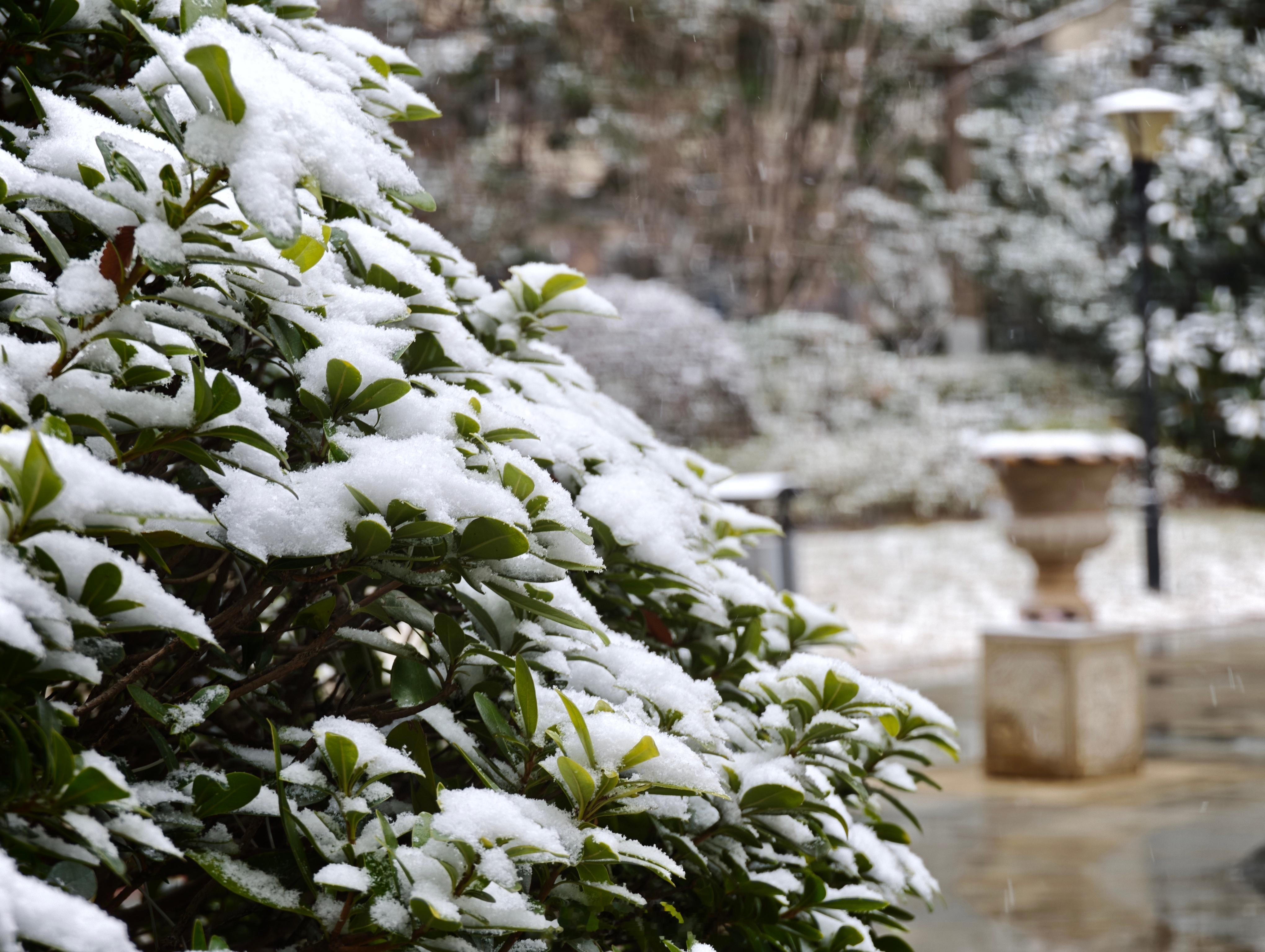 2026 年的第一场雪，比以往时候来的都早。一觉醒来，全国都在下雪！雪景太美啦 