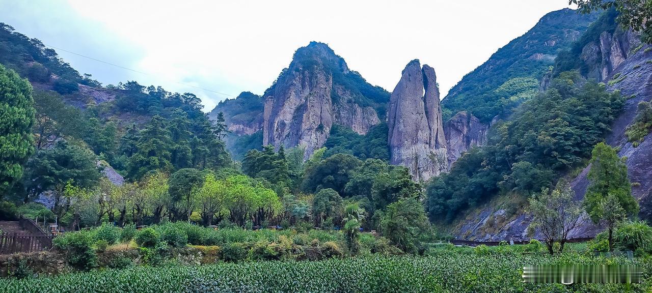 雁荡山的剪刀峰也太神奇了！本来以为就是座普通奇峰，结果跟着步道走几步就惊到了！
