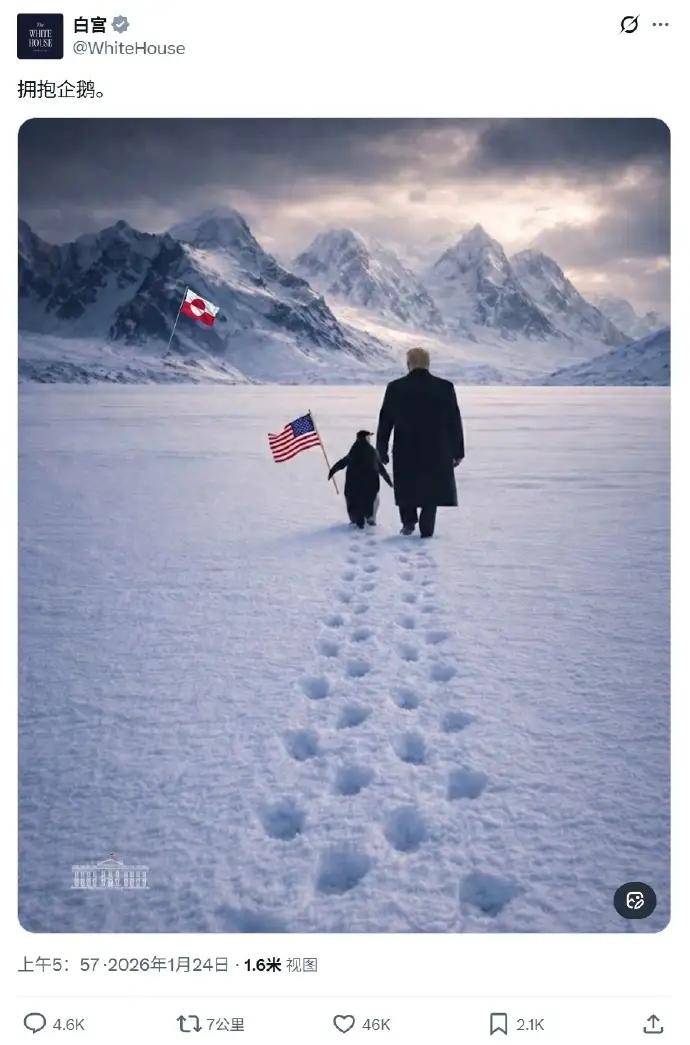 “拥抱企鹅”——白宫。

昨天，白宫官方账号在互联网发布了一张AI图片，画面中特