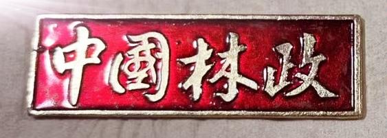 中国林证