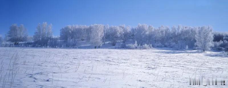 一位心理学家说：“这个世界上混得最惨的孩子，一定来源于一个没有任何家底，却有着严