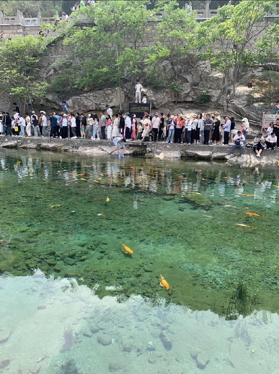你有没有在某个深夜，突然觉得前路一片漆黑？
你看不清50米之外的风景，
也猜不到