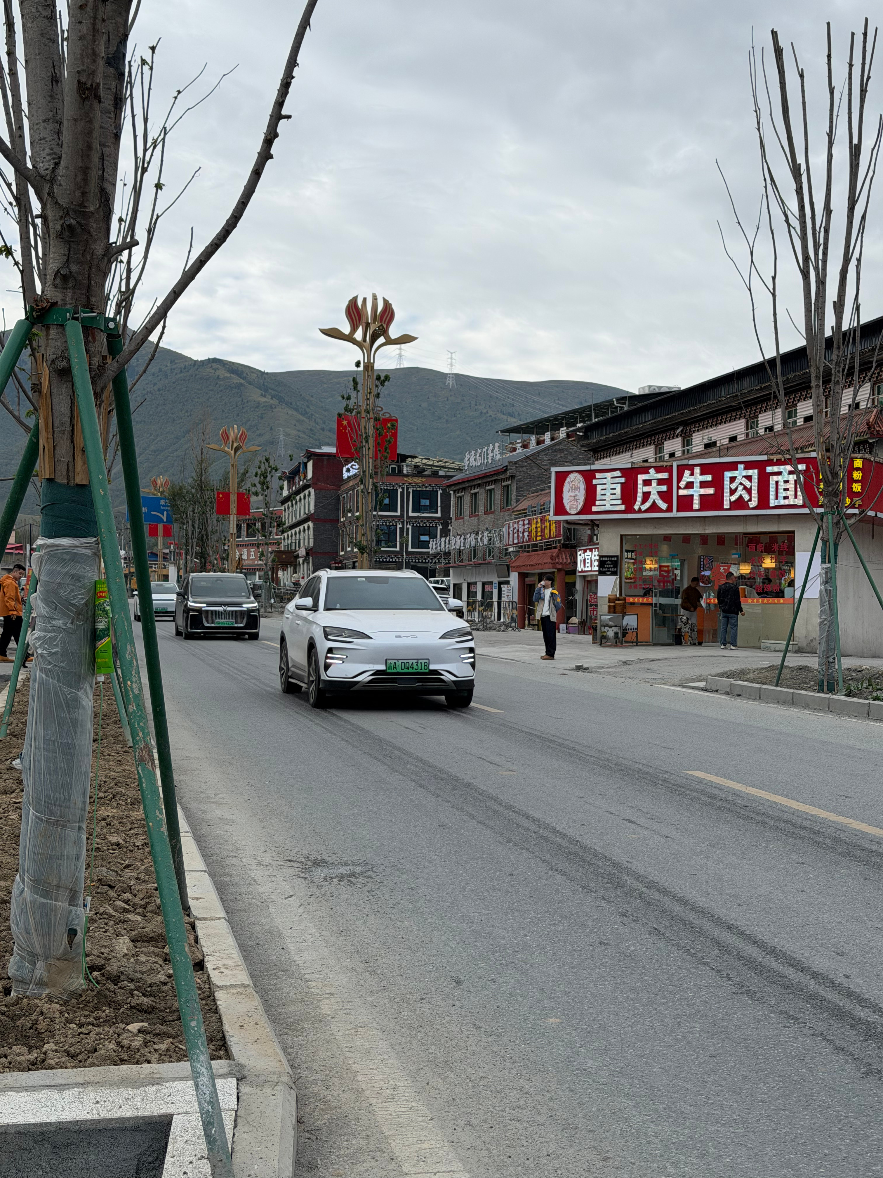 318上迪子的车越来越多了，不仅仅只是方程豹，过条马路都能碰到好几台[允悲] ​
