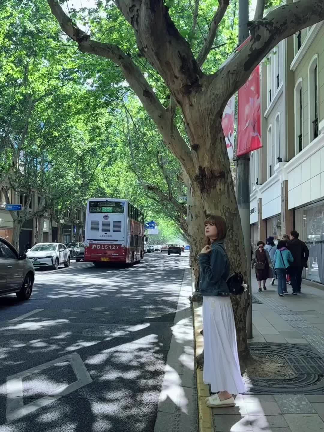 小闲即欢，小清即静 🍃