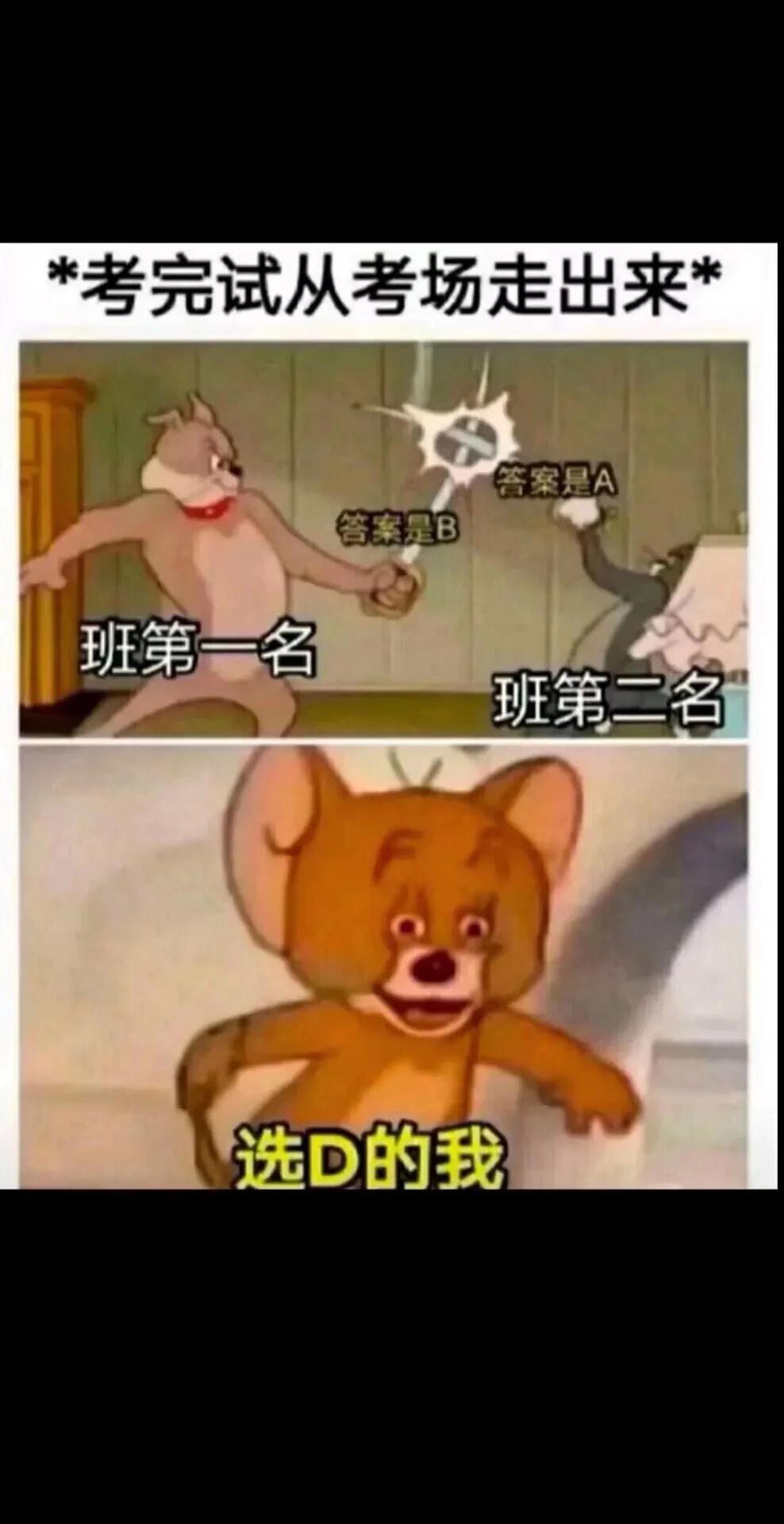 刚考完试的我！！！！