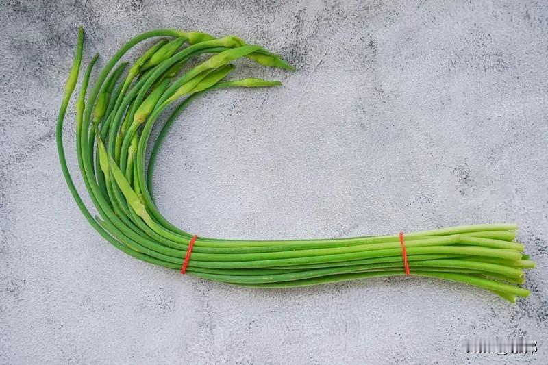 “要蒜苔吗”是2026年4月底—5月初火起来的河南蒜苔滞销梗，就是网友之间调侃、