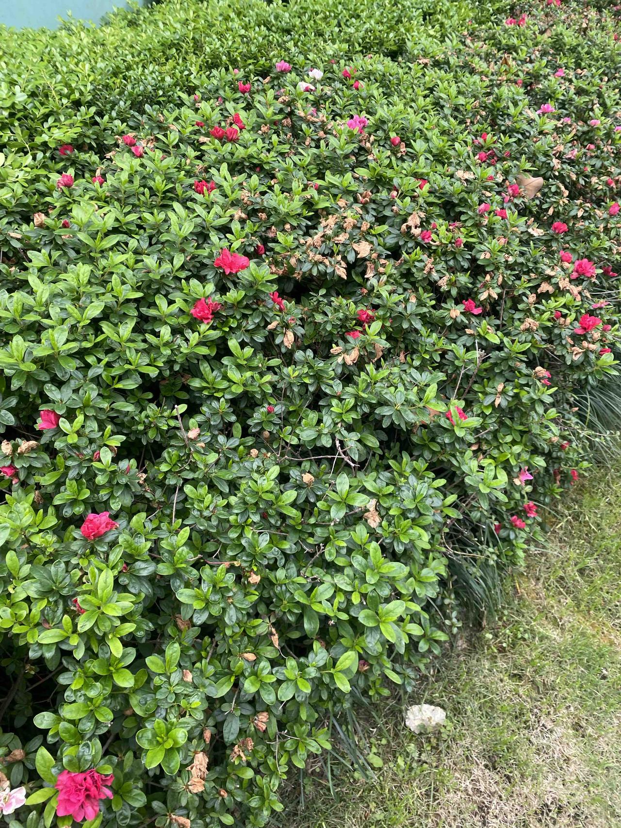 人生最大的遗憾，不是你不够努力，而是你本可以。
年轻时总觉得安逸是福，可这其实是