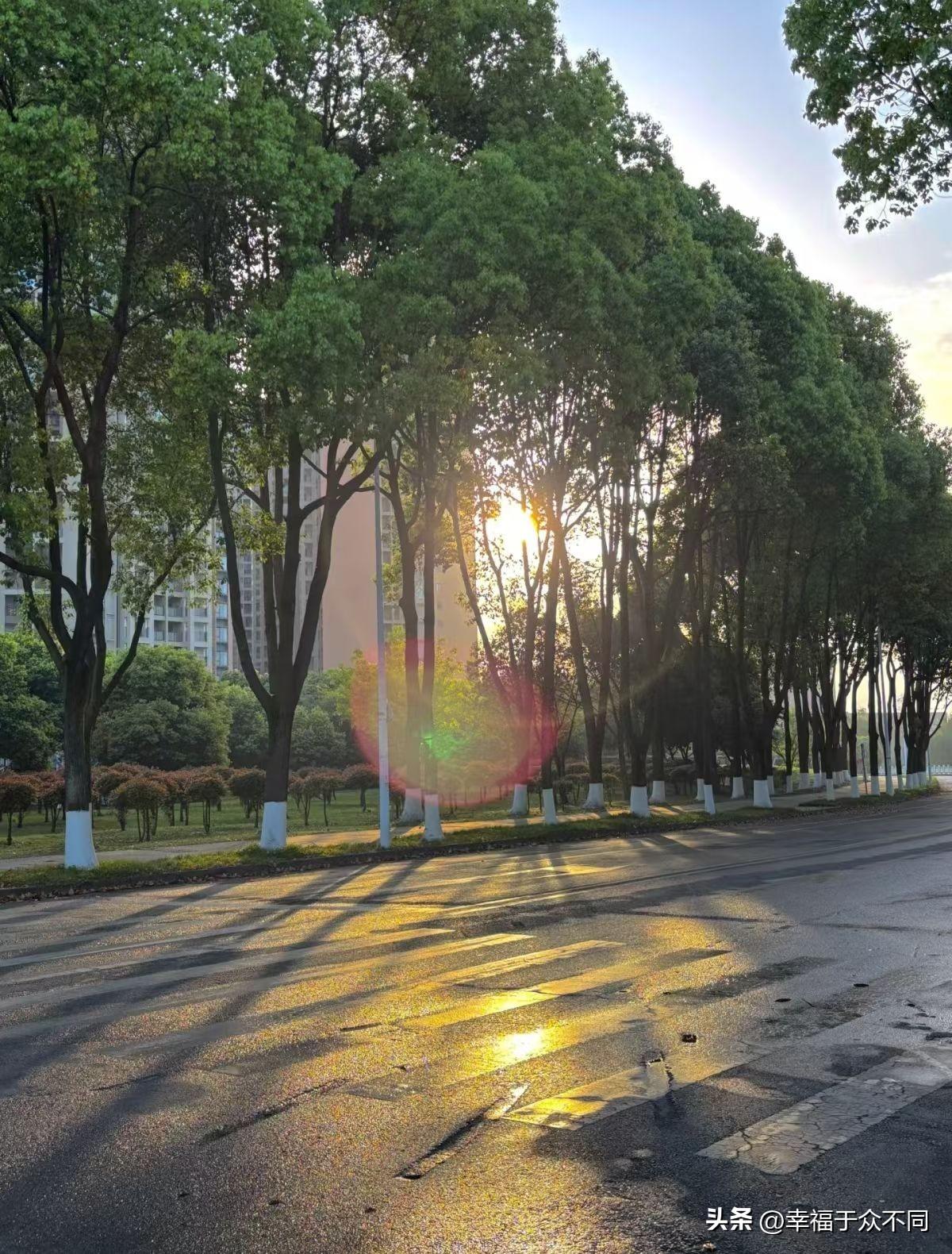 走心的老话

亲不过爹娘
近不过结发
严教儿学好
儿孝父心宽
不怕家中穷
就怕出