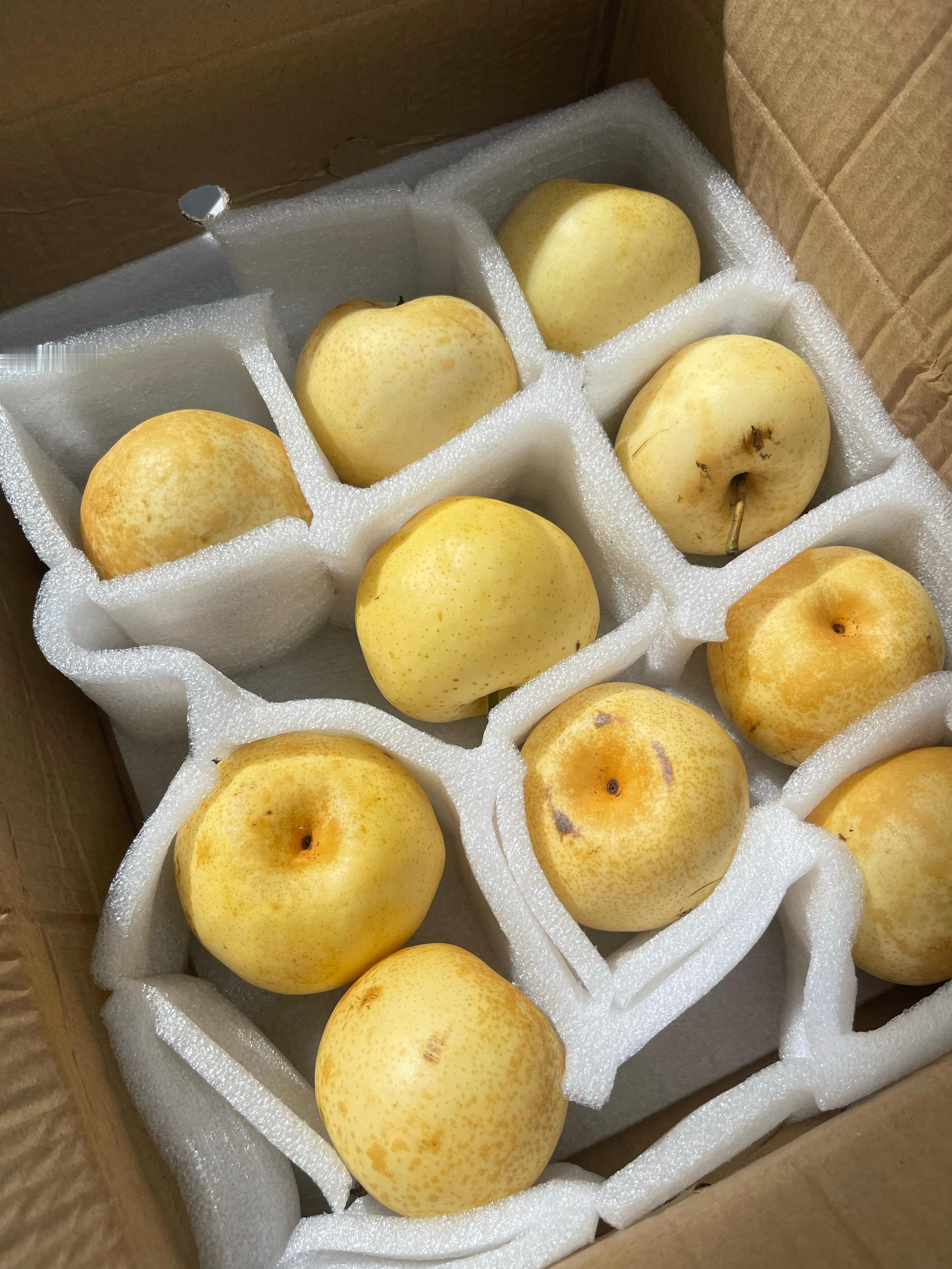 胖头莎昱_[超话]  今天到的梨🍐汁水足甜度合适好吃～ ​​​