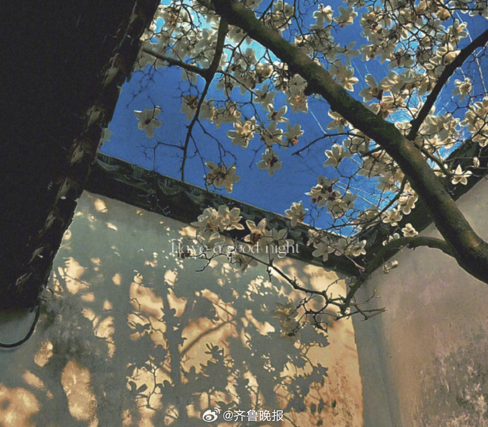 慢下来，静下来，生活中的小美好值得细细体会。#晚安#