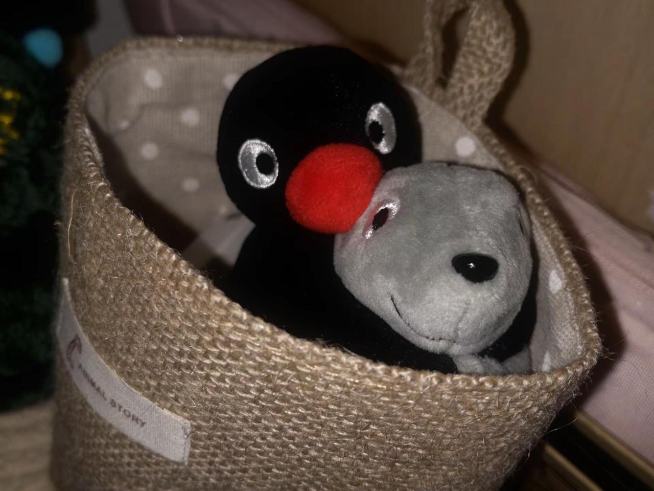 這樣的日子延續得再久一點吧 我和妳。pingu