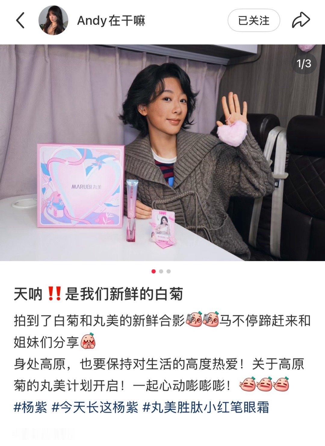 居然是新鲜的杨紫白菊[期待] 怎么变小黑菊了 ​​​
