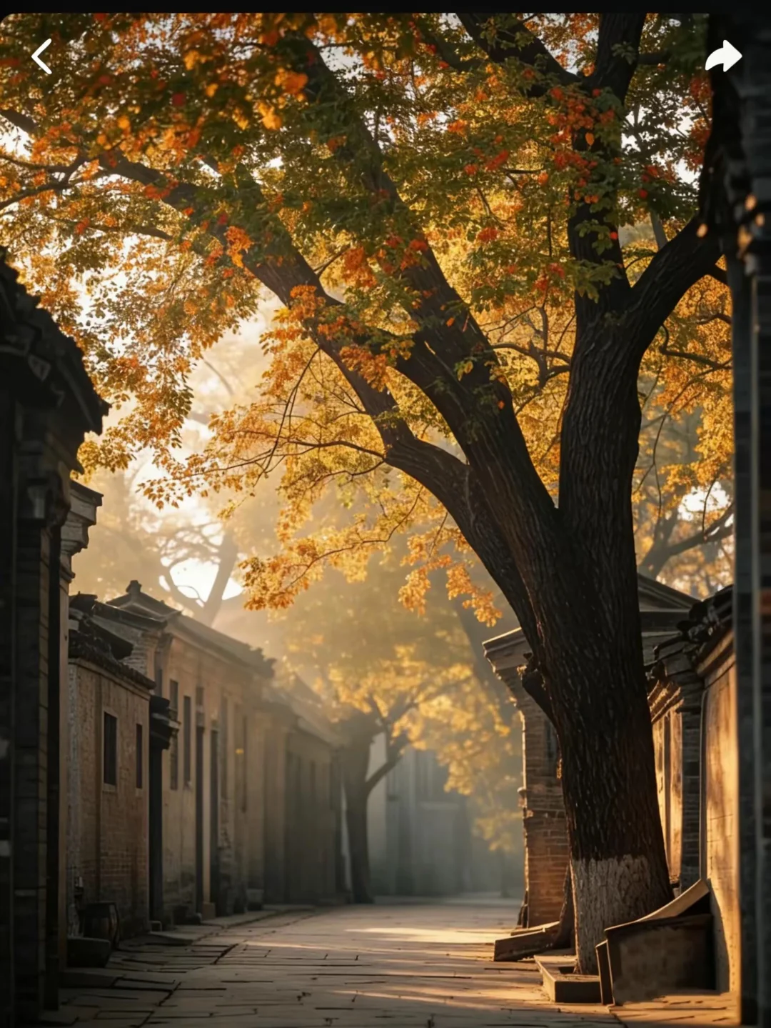 你是否有那种会反复打开的东西，可能是一本书，一首音乐，一部电影，一个游戏，一集播