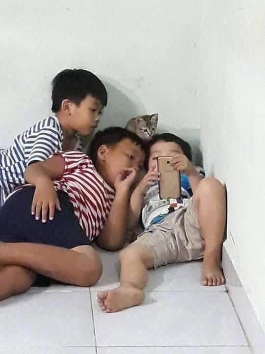 3个小男孩挤在一起看手机，中间还有一只猫充当一员，好认真.