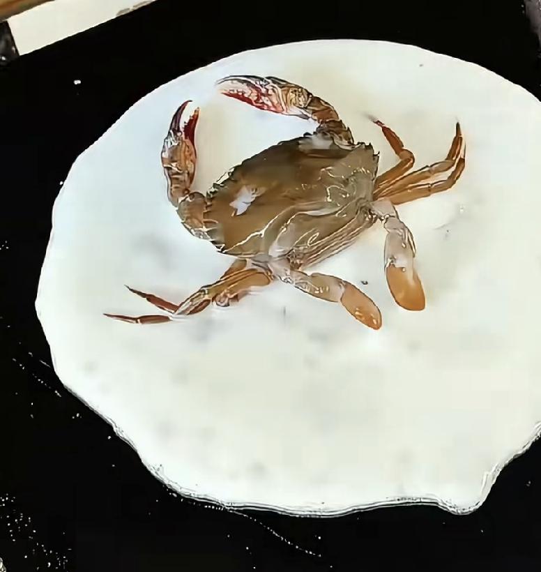 螃蟹版二向箔！螃蟹曰：粉骨碎身浑不怕，要留蛋白在人间，