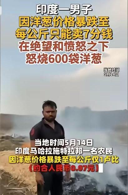 印度洋葱焚烧事件：600袋火光背后的农民绝境与农业困局
 
2026年5月14日