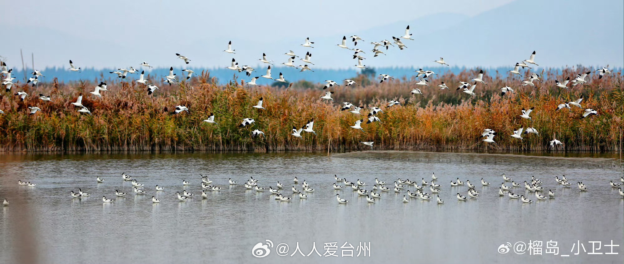 藏在东海里的玉环诗意 东海潮起，海屿藏韵，玉环向全国赴约！六月初夏，山海正好。浙