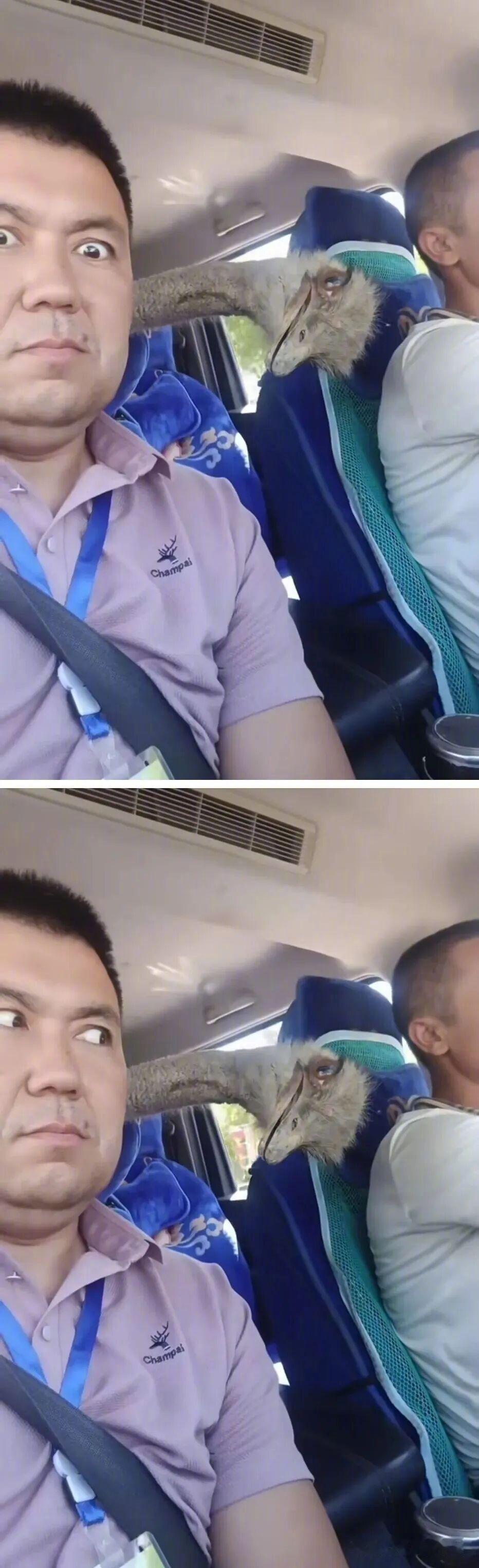 拼车拼到了奇怪的乘客 ​​​