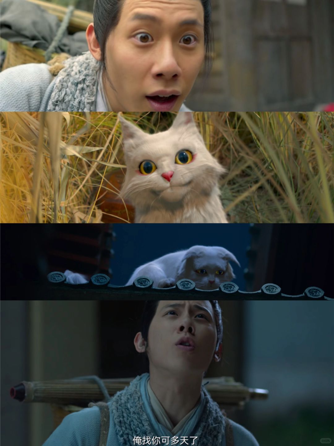 年轻时不能遇见太惊艳的喵🐱🐱