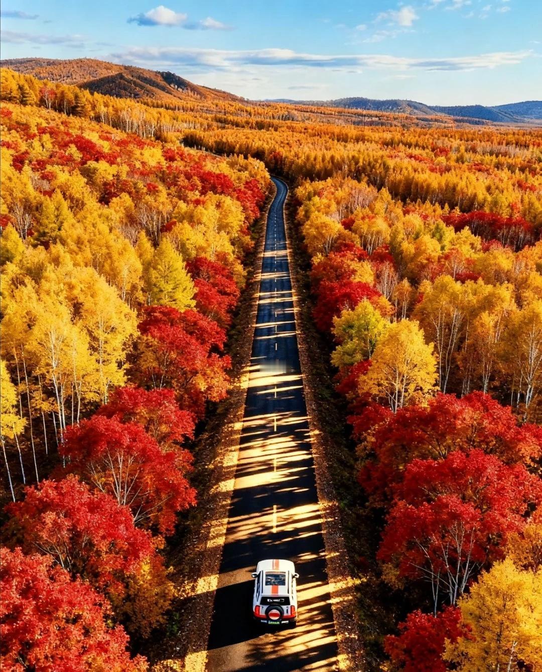 ? 大兴安岭根白线！
🍁 大兴安岭根白线！这条秋日公路美到窒息～
📸 **封