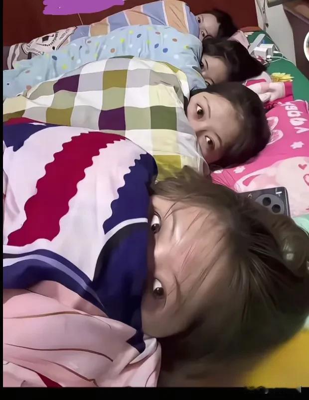这一窝子，珍品中的珍品，不知要多少彩礼！