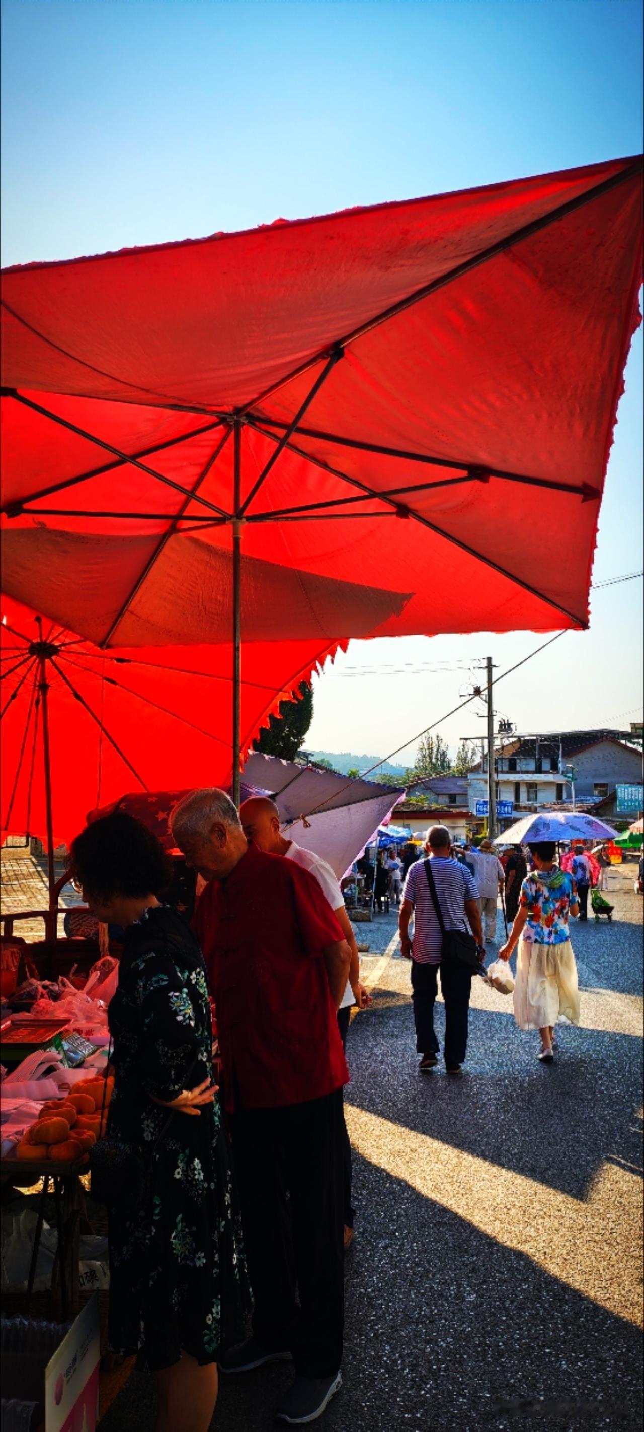 农贸市场总是挨挨挤挤，清早才从地里拔来的青菜、摘下的苦瓜丝瓜黄瓜西红柿，花花绿绿