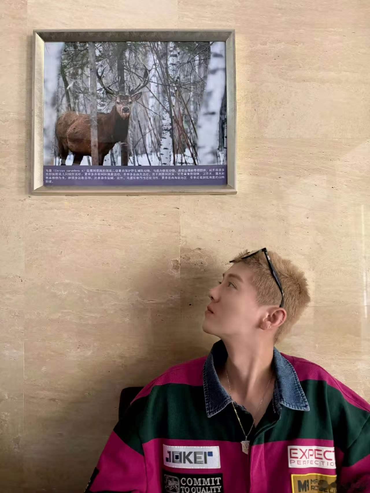 鹿晗分组五哈这期是鹿晗分组 有人觉得鹿晗分组会很有梗，有人说他可能会犹豫不决，你