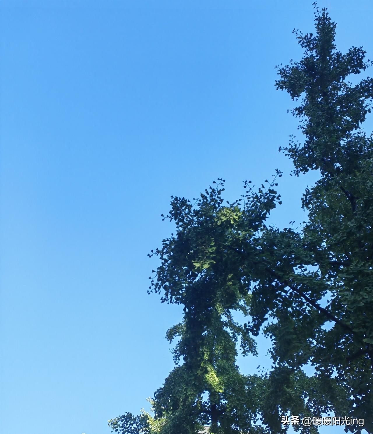 同事家闺女第一天上幼儿园，她就坐立不安了一天，问我能不能早点下班接孩子？

昨天