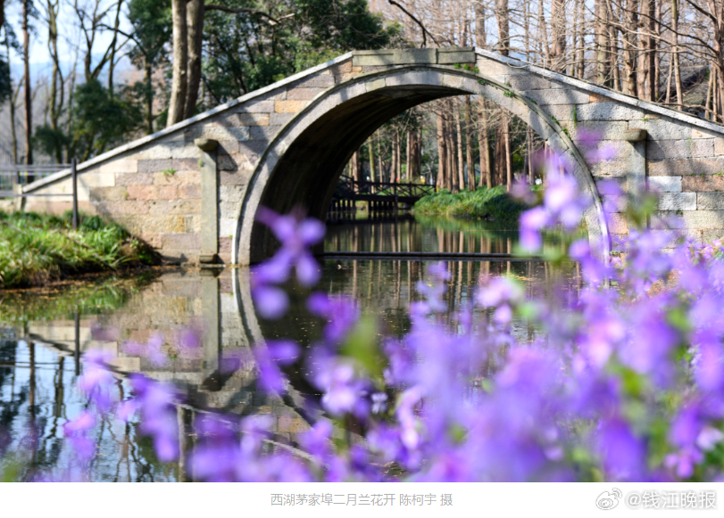 #绿化带又出圈杭州真有美商考核吗#【绿化带又出圈，杭州真有“美商考核”？园林部门