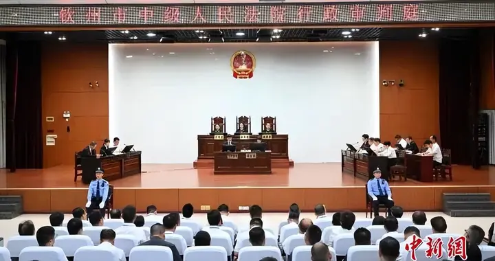 广西国营某农场将政府告上法庭，钦州市市长出庭应诉