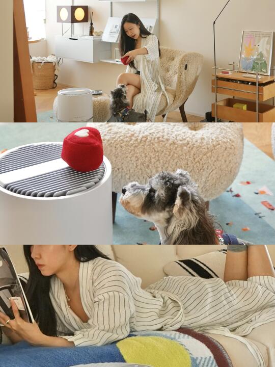 今年夏日🧊我的家从呼吸开始治愈～