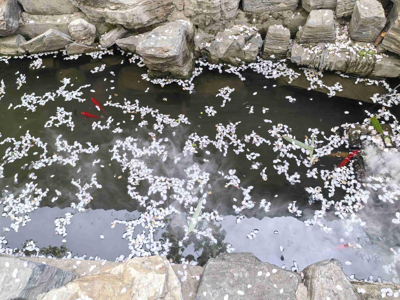 我的今日状态：💰期待暴富
我这里的天气：☀️晴天