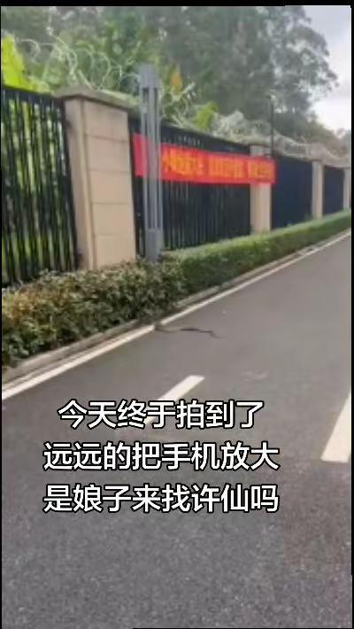 物业说找不到，为什么我连续两次都看到？