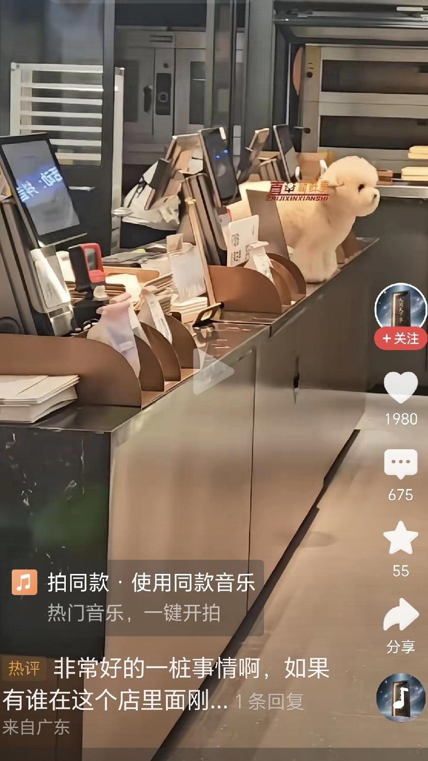 某市一家知名蛋糕店，宠物狗爬上收银台撒欢，店员居然无动于衷。幸亏有人拍下了视频，