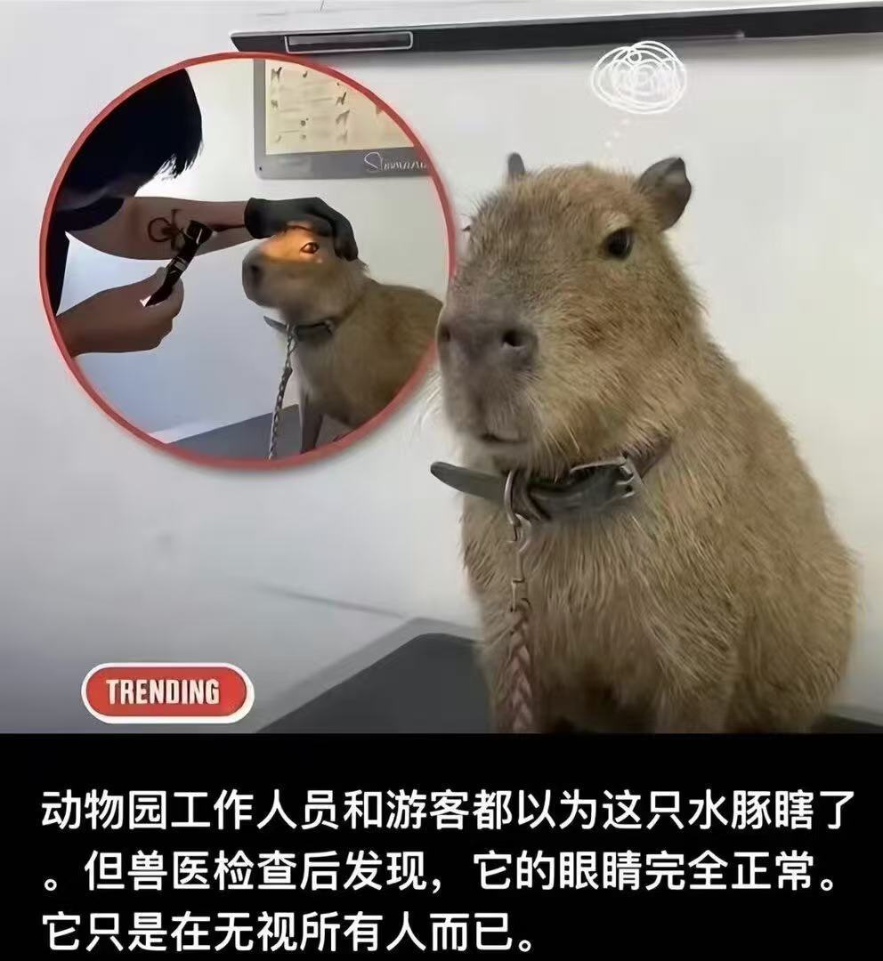 理想的生活态度。 