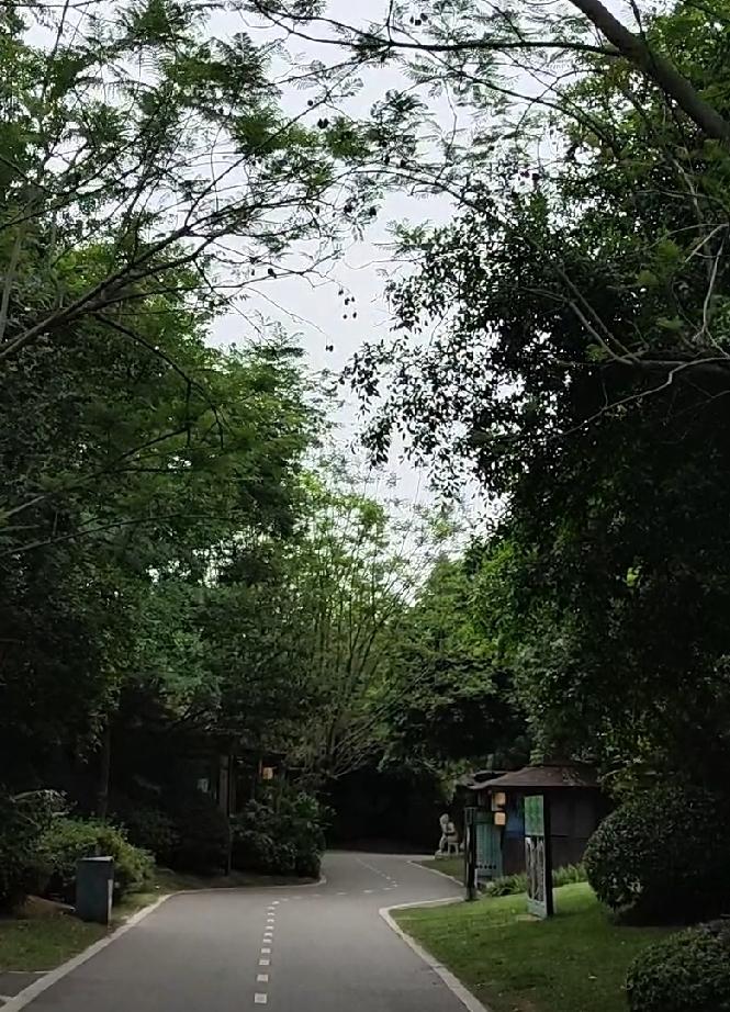 人到中年，渐渐偏爱独处品茶。

年轻时节总在盲目奔波，执着名利与脸面，总惦记旁人