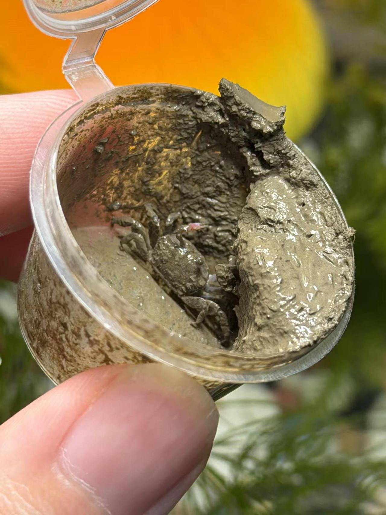 人生最幸福的时刻 我认为是我养着一缸不死的小鱼，读着明史和近代史