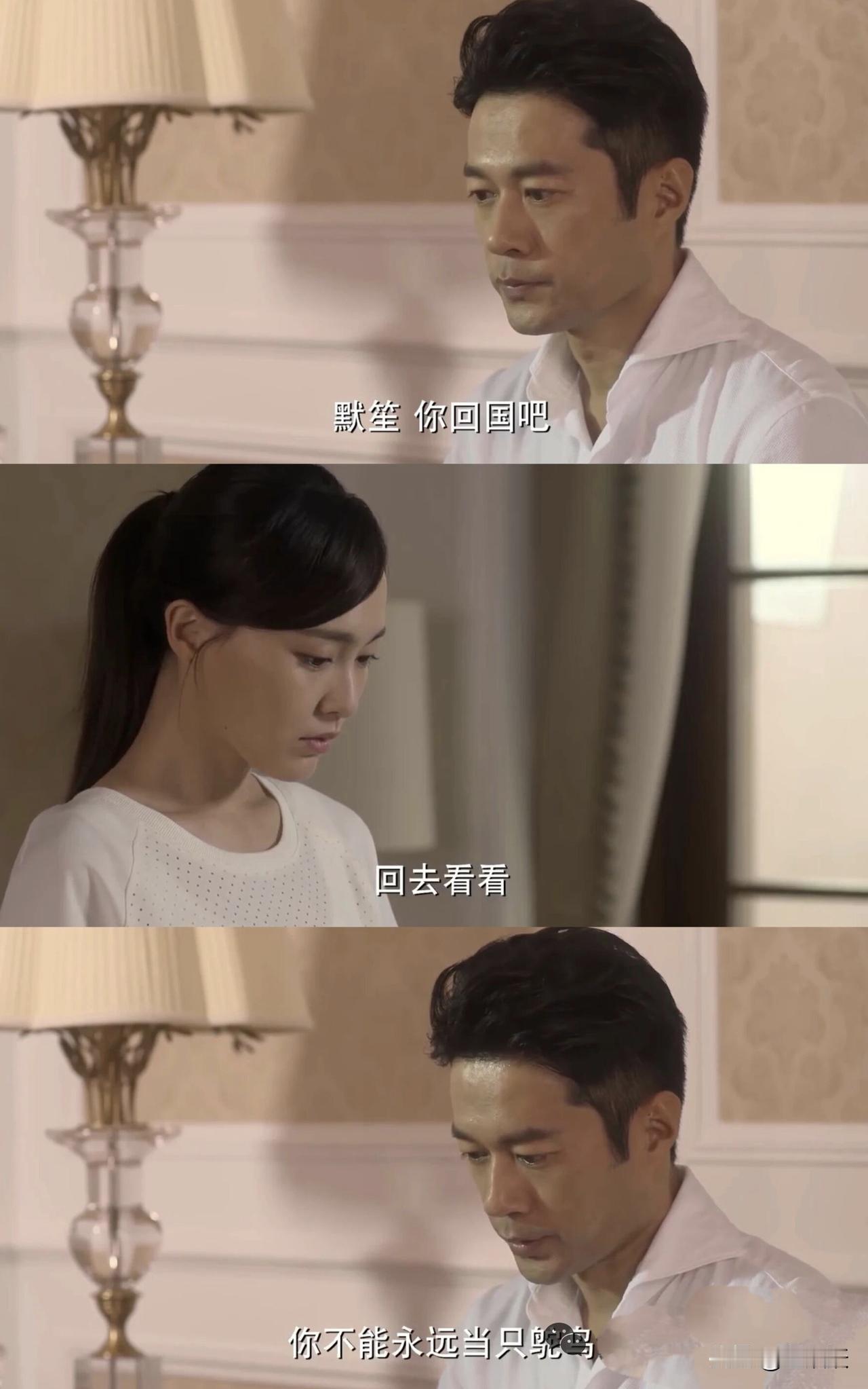 唉，应晖这盘棋下错了，以为劝赵默笙回国，赵默笙会放下过去，放下何以琛，却漏算了何