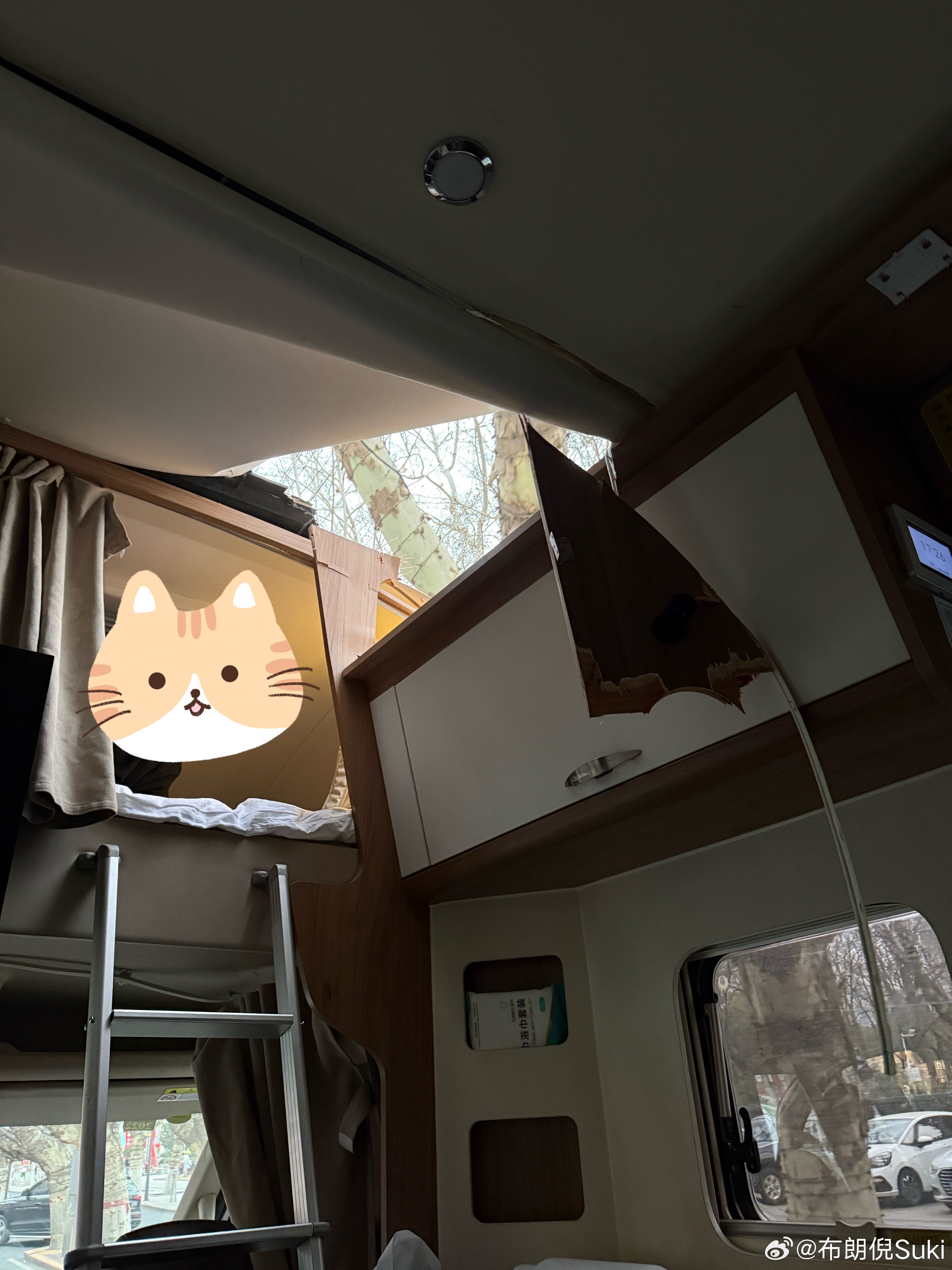 给大家科普下汽车过城市道路撞到了树或者刮到了树杈不仅得找保险，还得上报园林局不然